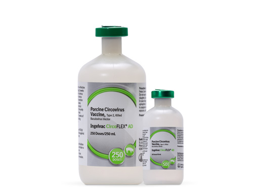 Boehringer Ingelheim launches swine vaccine with advanced protection against Porcine Circovirus Type 2 in the U.S