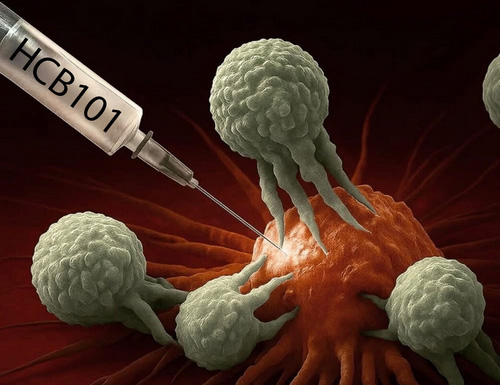 HanchorBio Unveils Compelling New Data at SITC 2025 Highlighting the Best-in-Class Potential of HCB101 in Advanced Cancers