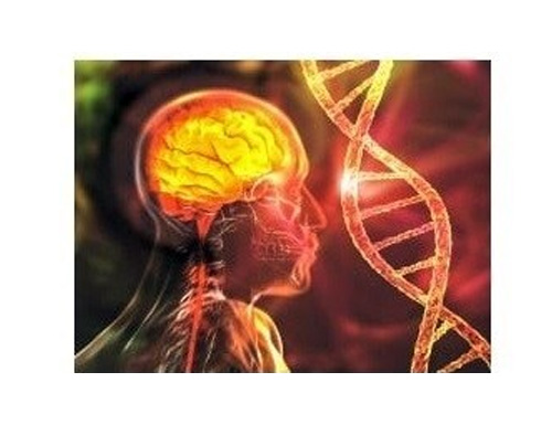 Klotho Neurosciences, Inc. Partners with AAVnerGene Inc. to Make Gene Therapy Assets of Klotho Available