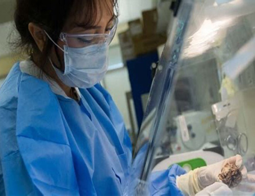 Enhancing Preclinical Research Support, SoBran, Inc. Expands BioScience Services to Los Angeles