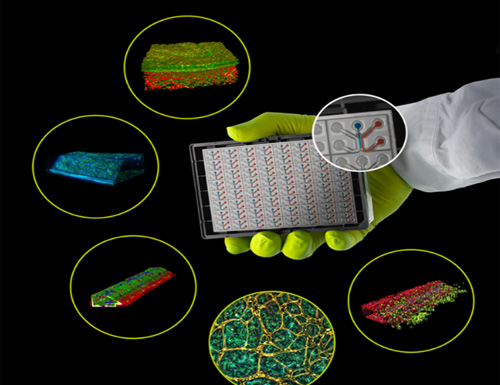 Bruker Announces Majority Stake in MIMETAS to Accelerate Drug Discovery and Development Using Human Physiology-Relevant Models