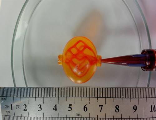 3D bioprinted perfusable vascular channels using BioFlex Bioink 