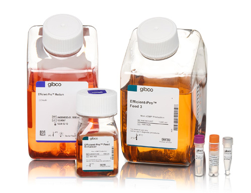 Thermo Fisher Scientific Unveils Integrated Platform to Enhance Biologics Development