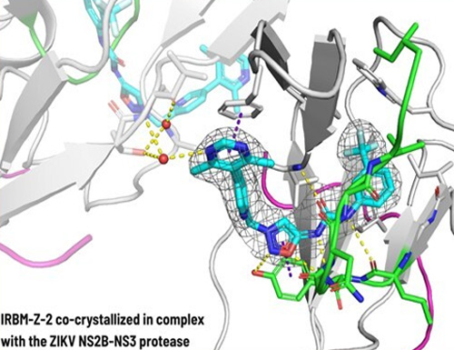 Breakthrough in Zika Virus Drug Discovery Reported by IRBM