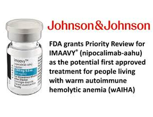IMAAVY&reg; (nipocalimab-aahu) demonstrated rapid onset and durable hemoglobin response in a pivotal Phase 2/3 study of warm autoimmune hemolytic anemia (wAIHA), a disease with no FDA-approved therapies
