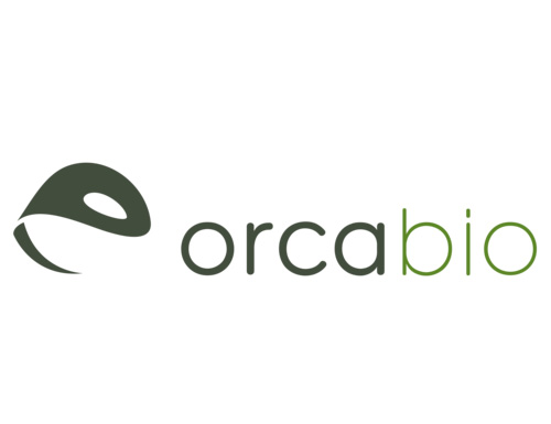 Orca Bio Announces FDA Extension of BLA Review for Orca-T in the Treatment of Hematologic Malignancies.