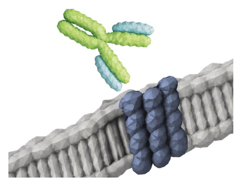 Pythia Labs Launched AI-Designed Antibodies for Hard-to-Drug Targets