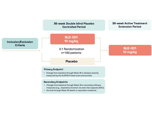 Neurizon Begins Dosing of NUZ-001 in HEALEY ALS Platform Trial