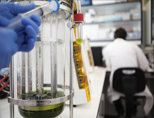 SUANNUTRA USA secures U.S. distribution rights for TetraSOD.