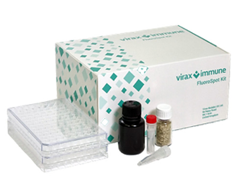 Virax Biolabs CEO James Foster Updates Shareholders Following the Fiscal 2026 Annual Report and Commercial Supply Agreement with Fosun Diagnostics