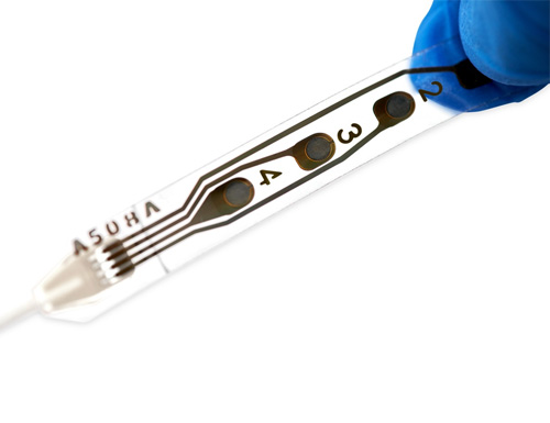 WCS: wise cortical strip