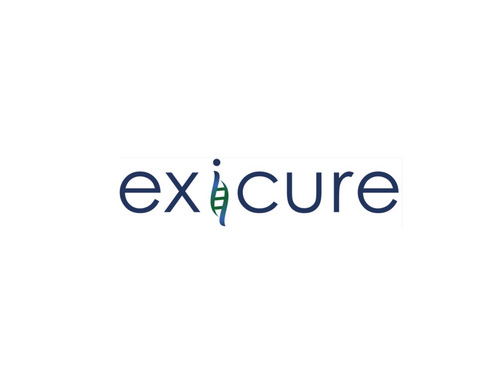 Exicure, Inc. (Nasdaq: XCUR) Unveils Next Steps Toward New Clinical Trial in Acute Myeloid Leukemia (AML)